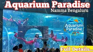 Aquarium paradise Bangalore !! India Largest Underwater Tunnel !! Ticket Price, Timing, Location...