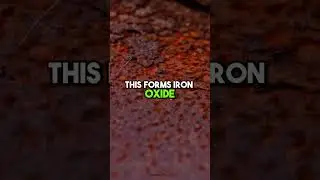Why do metals Rust? 😳