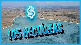 105 HA DE ORO VERDE 💰 ¡A $19 m²!”