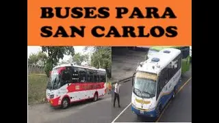 Buses para San Carlos