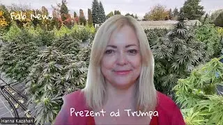 Prezent od Trumpa