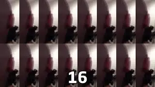 Кто ботаник? А вы Чубакка (Джигурда в очереди) - 1 099 511 627 776 раз [4K]