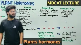 Plant hormones And It's Types | NMDCAT 2021