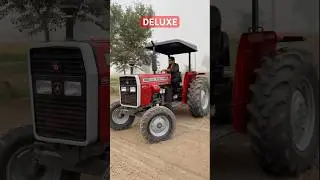 MASSEY FERGUSON Deluxe 2024 #tractor #tractorlover #masseyferguson #260 #farming #agriculture
