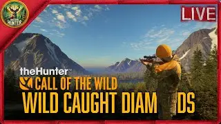 Trophy Hunting Random Servers  |thehunter Call of the Wild