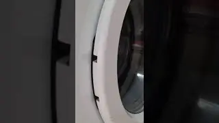 kittens reaction to the washing machine