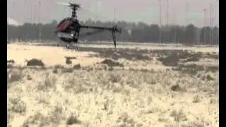 Trex700 Gasser Abu Dhabi.flv