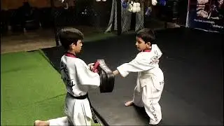 Zaroon Ch Under 5 Speed Punching
