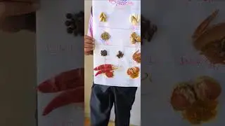First Class Student&rsquo;s Beautiful Spices Project | Icon English Medium School