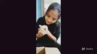 Pet lover ####lifestyle #hamster #radhe radhe ##