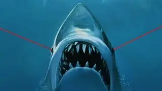 -DoomShark-