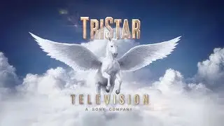 KippSter Ent./City Entertainment/Brady American/Amazon Studios/TriStar Television (2017)