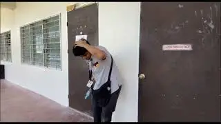 The 