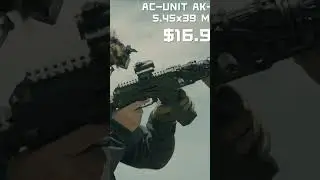 POV: When the mags are more expensive than gold.