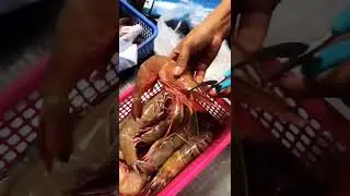 Amazing Tiger Prawns Cutting Skills #shorts #ytshorts #prawnscutting #prawns #cutting #cuttingskills