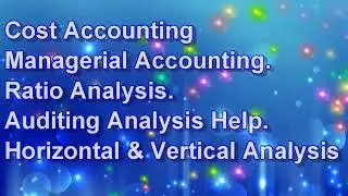 Financial Analysis Assignment Help