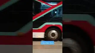 Double bus Qatar