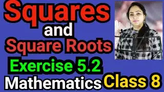 Class 8, Mathematics, Exercise 5.2, Squares and Square Roots