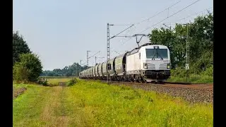 [ITL] Biały 193 617 z jednolitym składem wagon&oacute;w zbożowych Captrain | Rohrsen