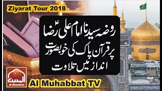 Beautiful Tilawat E Quran on Roza Hazrat Imam Ali Raza (A.S) ll Mashad Iran