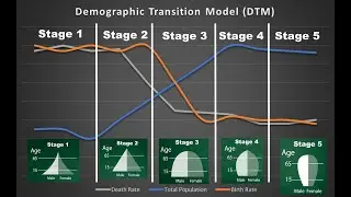 The Demographic Transition Model