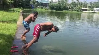 Crazy pool dive