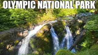Kaden hikes Ancient Groves Nature Trail in Olympic National Park / DAY 2