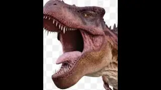 playing as invictus rex but if i die the video ends(READ DESC)