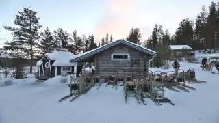 Voice of Nature - Schlittenhundetouren in Schweden