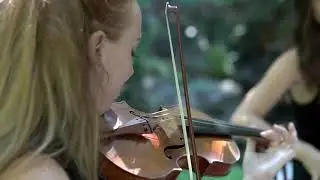Isn't She Lovely, Stevie Wonder - Sienna String Quartet (Trio)