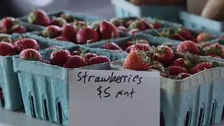 2017 Community Health Champion: Local Food Focus for one  Kansas Community