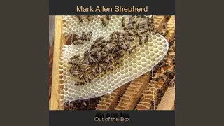 Like Bees to Honey