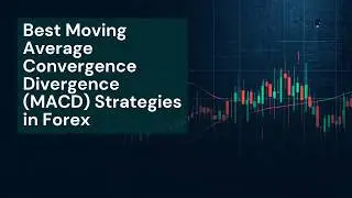 Best Moving Average Convergence Divergence (MACD) Strategies in Forex