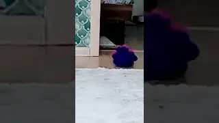 как проводит пятницу мой Хаги ваги
