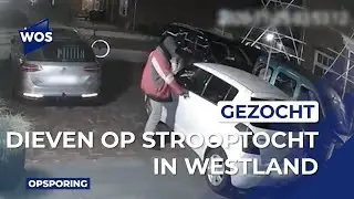 Dieven op strooptocht door Wateringen en Kwintsheul