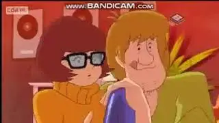 Kudłaty lubi szmaty