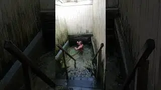 Купель в Оптиной пусыни.