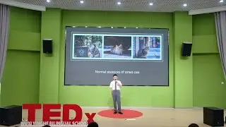 Helping Our Stray Cats | Jiawei Meng | TEDxWuxi Yinghe Bilingual School