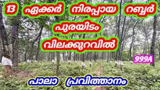 13 ഏക്കർ റബർ പുരയിടം വിലക്കുറവിൽ 😍 നിരപ്പായത് പാലാ പ്രവിത്താനം 999A #kottayam #pala #kerala #land
