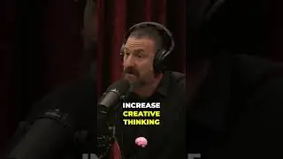 Unveiling the Unique Effects of Psilocybin   Marijuana on Focus   Creativity