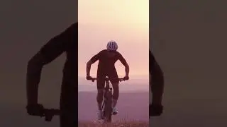 LYNX SLS | REDEFINE THE LIMITS OF PERFORMANCE
