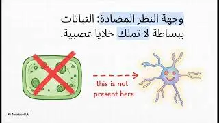 الغابة الهامسة with teacher Hanadi