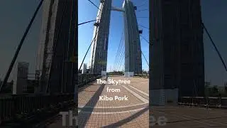 Tokyo Kiba Park | Calm Japan Vibes & Views #shorts