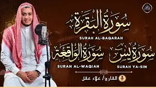 رقية للبيت سورة البقرة، يس، الواقعة - شفاء وبركة وحفظ من الشيطان Quran Ruqyah