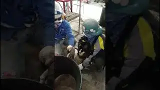 Making a layout for eccentric reducer to get the center