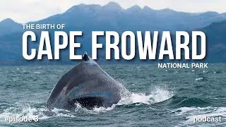 Cape Froward: Building Chile's Newest Mountain-to-Ocean National Park