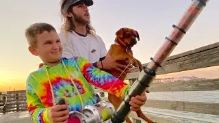 Catching GIANT SHARKS using LIVE SHARKS FOR BAIT | Food chain challenge
