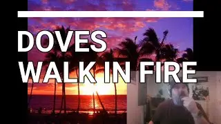 Doves - Walk in Fire | Reaction