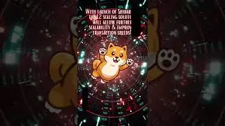 #Shibainu #Shibarium #Beta #Testing! Layer2 #Eth #shibarmy! #Altcoin to Moon! $.10 #SHIB #btc