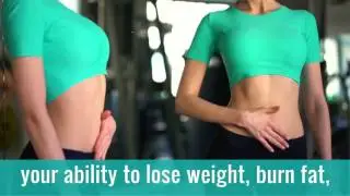 The 2 Week Diet program for safe, rapid weight loss plan